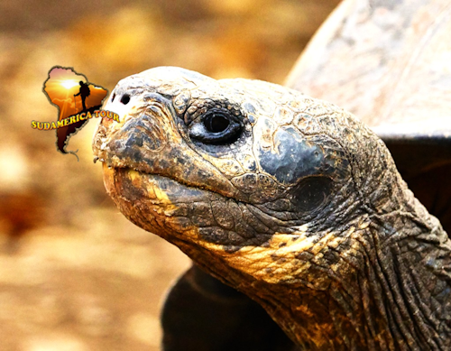 Ecuador and Galapagos: Tour 15 Days