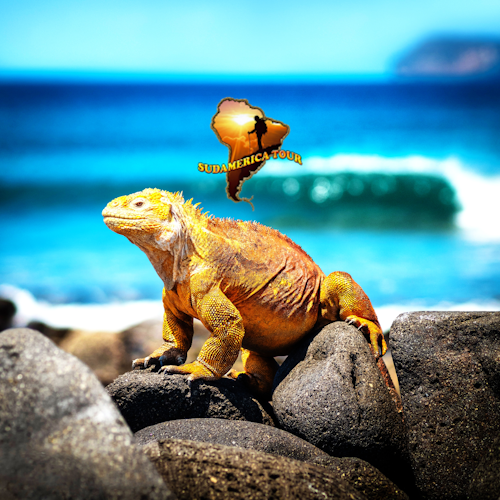 Agence de voyage Equateur Galapagos