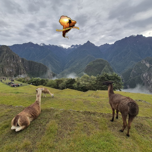 Magical Perú (Best Seller)