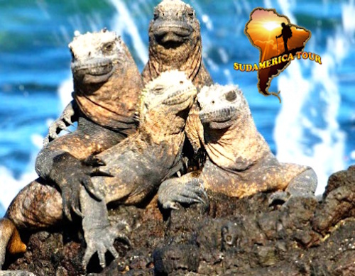Peru + Galapagos Tour 18 dni Amaryllis