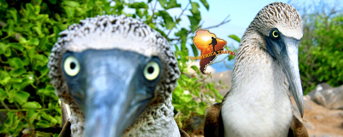 Ecuador Galápagos 19 días