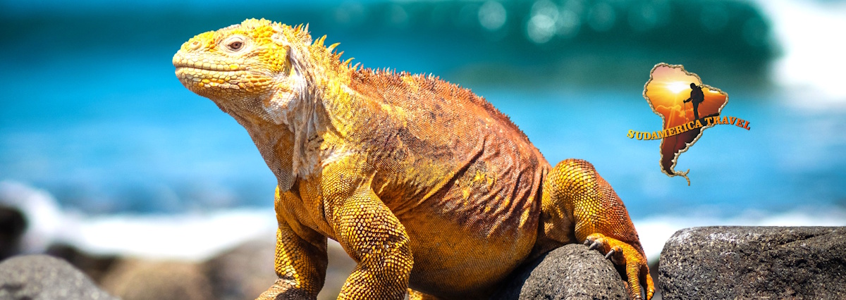 Ecuador y Galápagos Tour 10 días