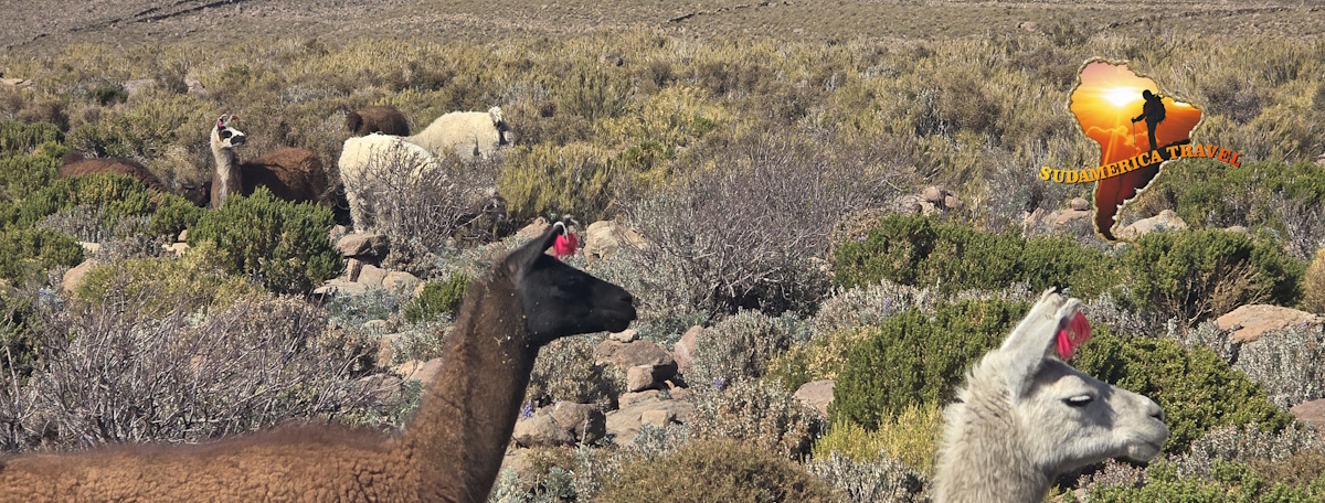 Peru Trekking Huaraz 21 days