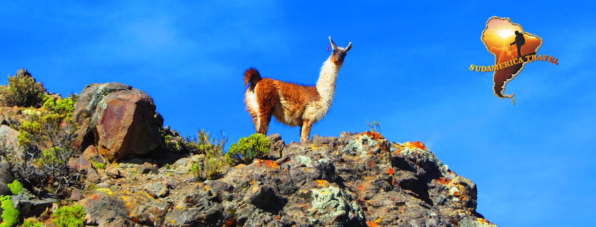 Reisen Bolivien Chile Natur