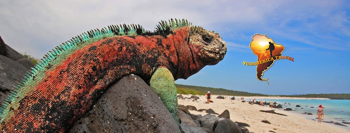 Ecuador und Galapagos: Tour 15 Tage