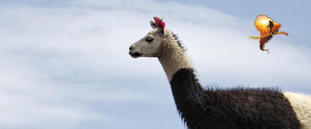 Trekking Peru 17 dni