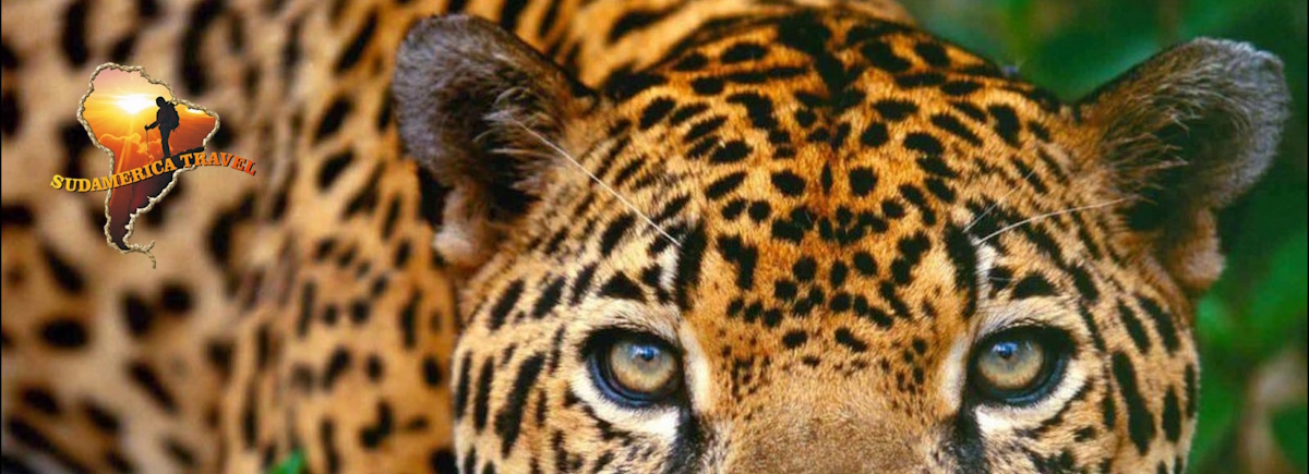 Peruwiańska Amazonia Travel bestseller