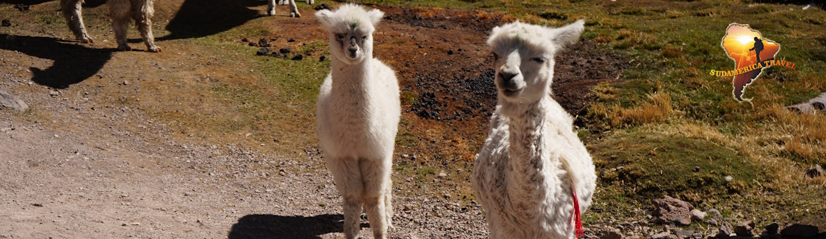 Das magische Peru